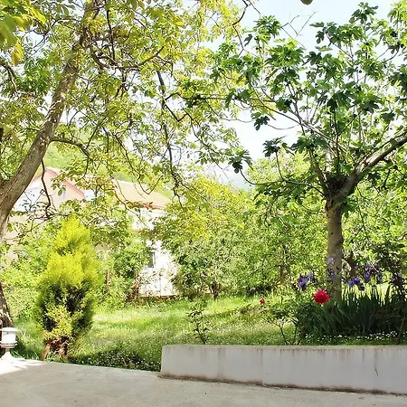 Gasthof Vojinovic Budva