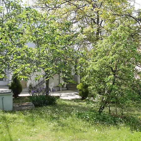 Vojinovic
